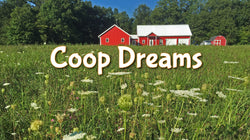 Coop Dreams Store