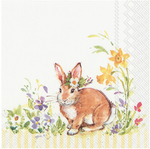 Spring and Easter Themed Party Napkins Sale