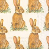 Spring and Easter Themed Party Napkins Sale